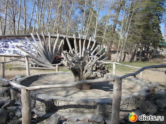 42 ����: ������