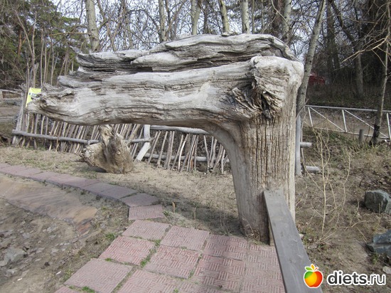 � ���, ��������, ������ �����, ������: ������