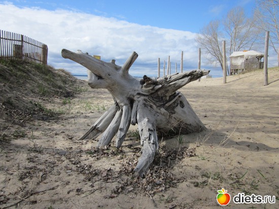 ��������� ������ �������� ����� � ����, ������: ������