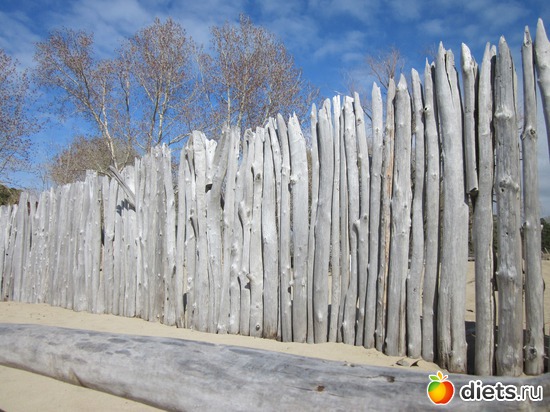 51 ����: ������