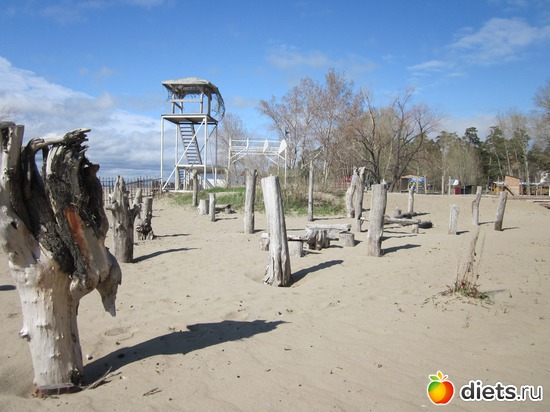 54 ����: ������