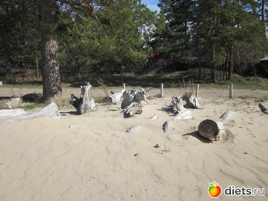 55 ����: ������