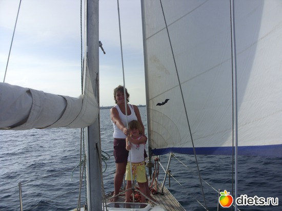 3 ����: ��������� 2010