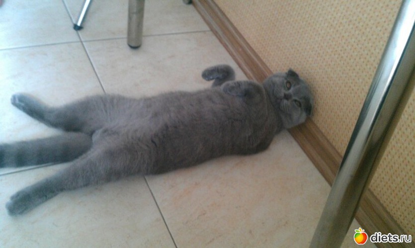 7 фото: Мое хобби