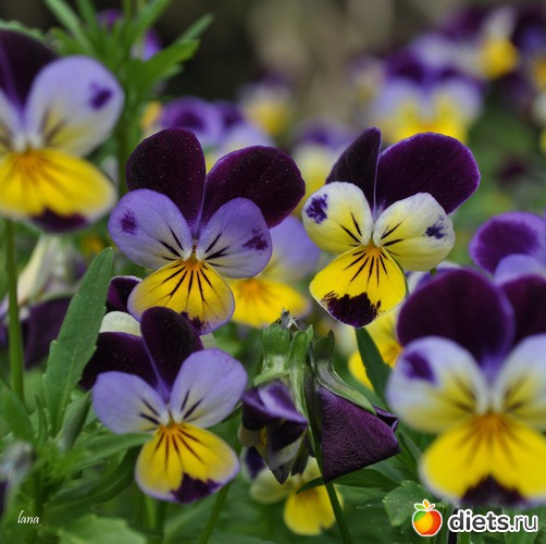 11 ����: ����� ���� �����