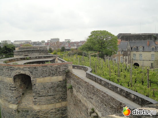 ����������� �� �����., ������: ����