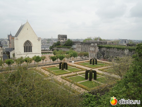 16 ����: ����