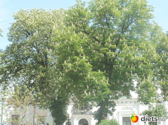 16 ����: ������� � ����