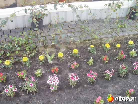 �����, ������: ������� � ����