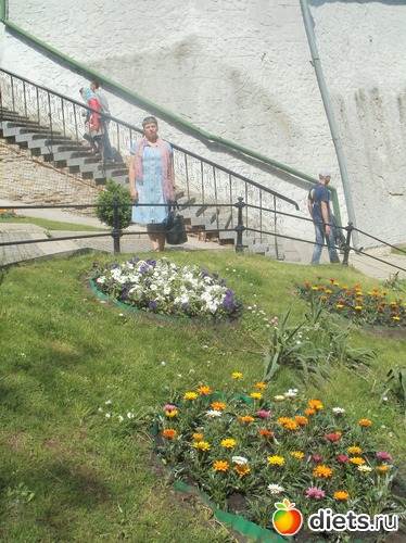 �����, ������: ������� � ����