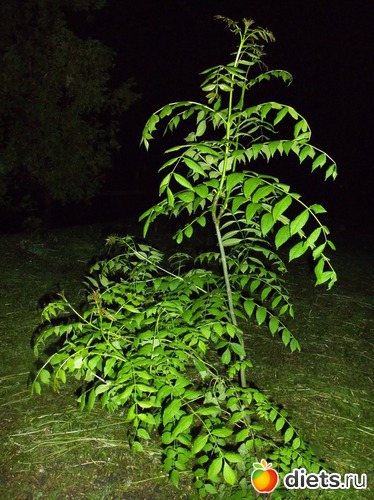 46 фото: Ночной Киев. Весна. Апрель-май.2012