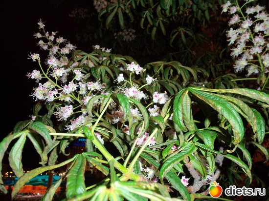 48 фото: Ночной Киев. Весна. Апрель-май.2012