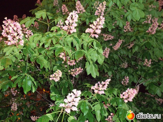 49 фото: Ночной Киев. Весна. Апрель-май.2012