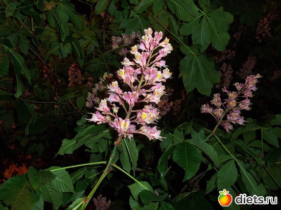 50 фото: Ночной Киев. Весна. Апрель-май.2012