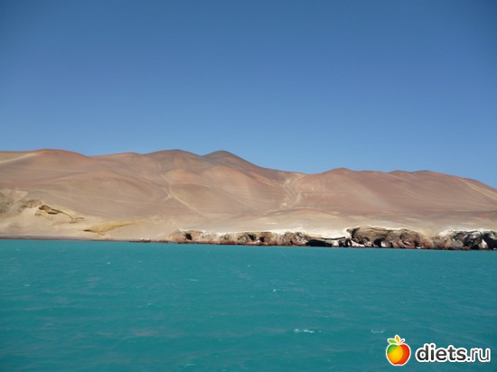 2 ����: ������� - ���������� � ����� ������