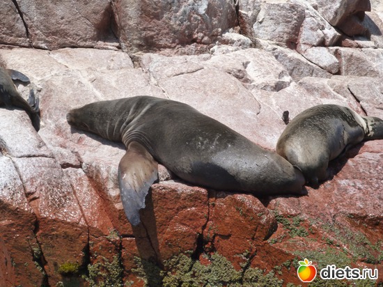 3 ����: ������� - ���������� � ����� ������