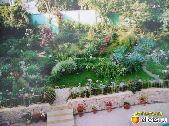 3 ����: ��� ��������