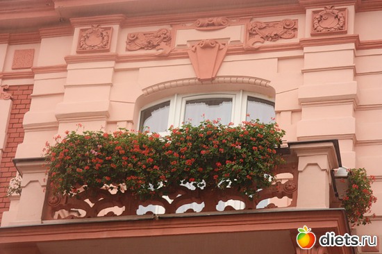 5 ����: ��� ��������