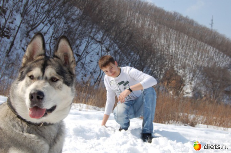 24 ����: ��������