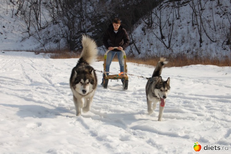 27 фото: животные