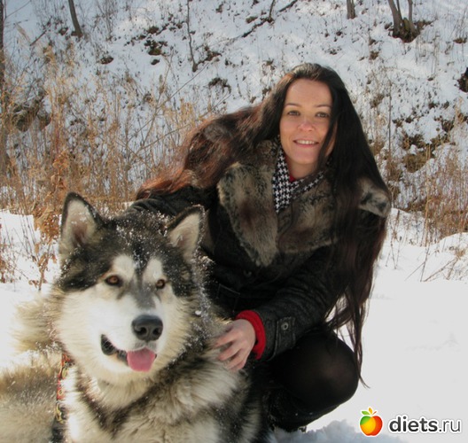 ��������� � ����- ����������� �������., ������: ��������