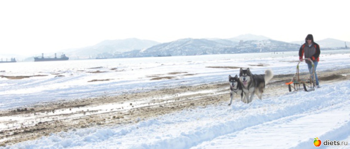 30 фото: животные