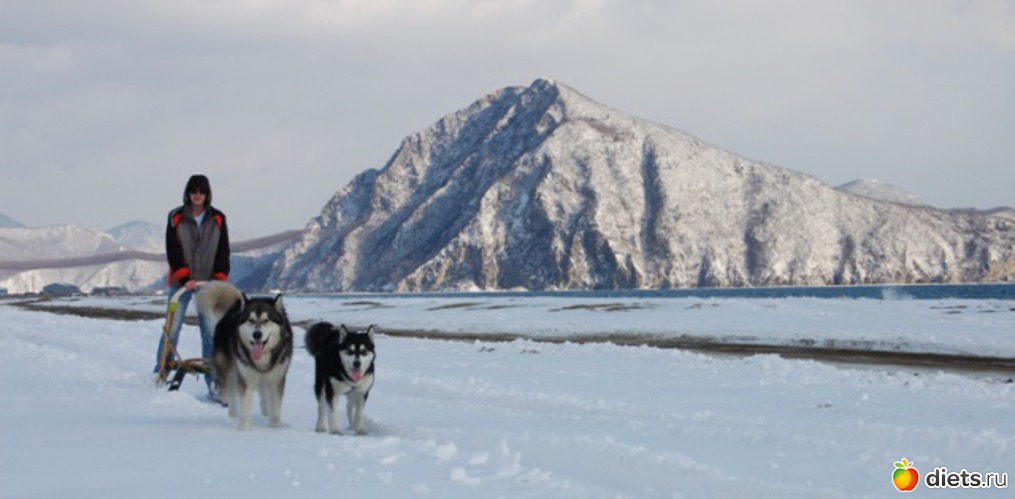 ���� ������. ���� ���� � ���� � �����, ������: ��������