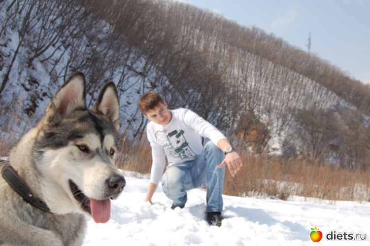 8 ����� 2012 ���.���� � ����, ������: ��������