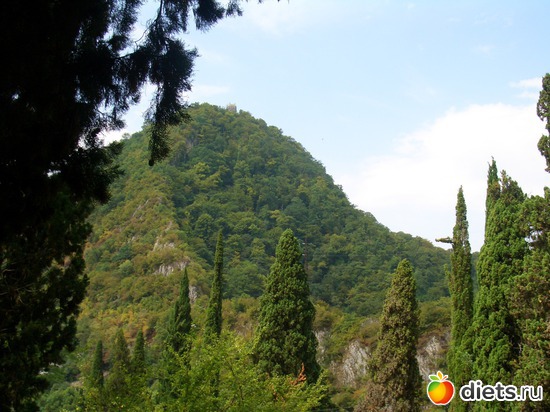 �������, ������, ������: �������