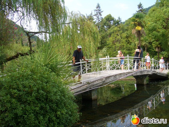 Абхазия, Сухуми, альбом: Абхазия