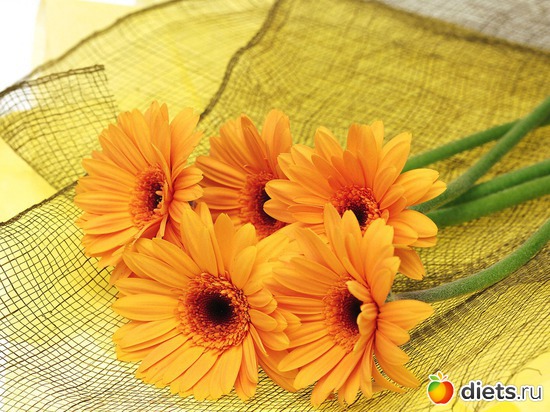 � ���� ��������, ������: ��������