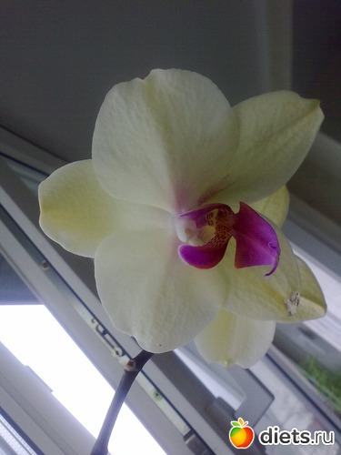 1 ����: ���������