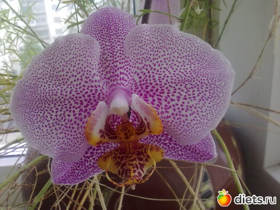 3 ����: ���������