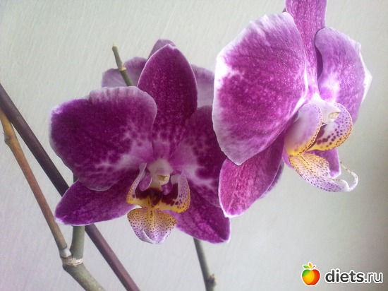 6 ����: ���������