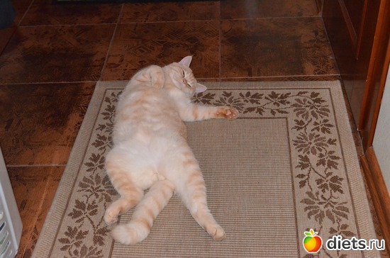 ����� ���, ������: �����