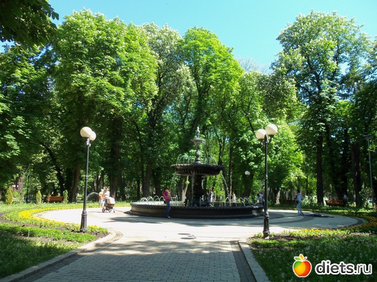 5 фото: Знакомый уютный Киев. Парки