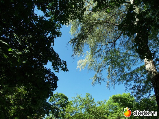 13 фото: Знакомый уютный Киев. Парки