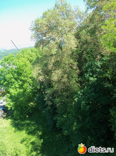 19 фото: Знакомый уютный Киев. Парки