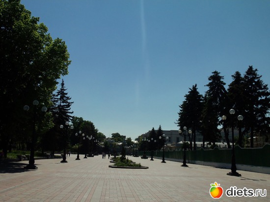 20 фото: Знакомый уютный Киев. Парки