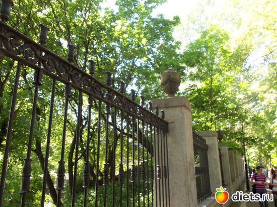 24 фото: Знакомый уютный Киев. Парки