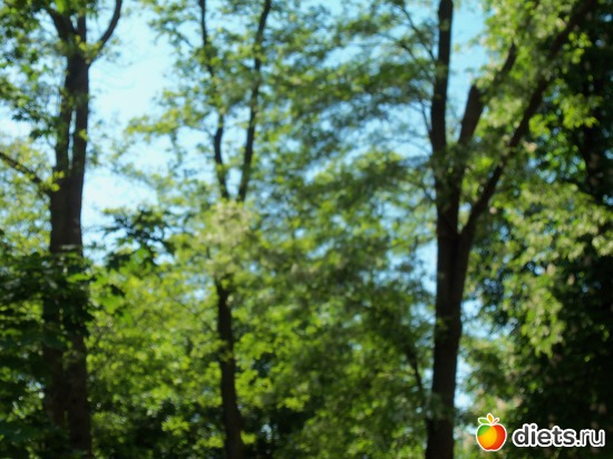 32 фото: Знакомый уютный Киев. Парки