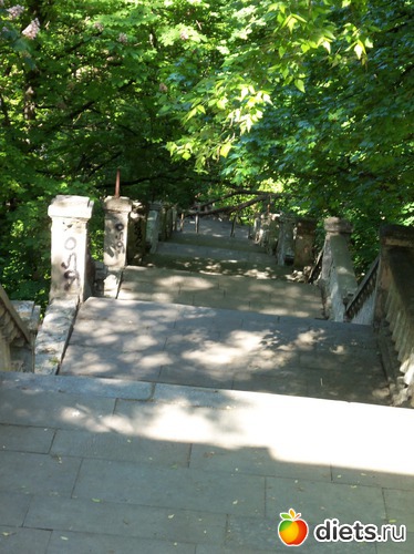 38 фото: Знакомый уютный Киев. Парки