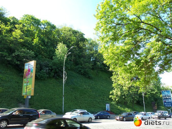 39 фото: Знакомый уютный Киев. Парки