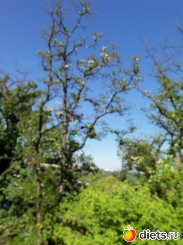 40 фото: Знакомый уютный Киев. Парки