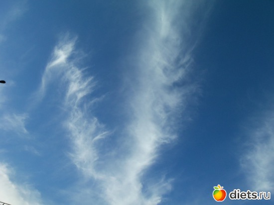 43 фото: Знакомый уютный Киев. Парки