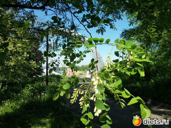 51 фото: Знакомый уютный Киев. Парки