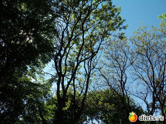 53 фото: Знакомый уютный Киев. Парки