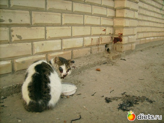 7 фото: Дела рук человеческих....Феликс...