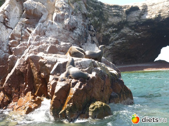 5 ����: ������� - ���������� � ����� ������