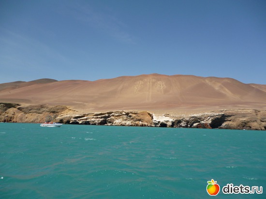 6 ����: ������� - ���������� � ����� ������